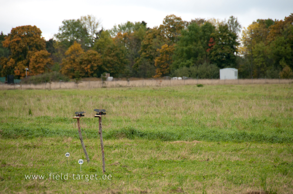 0129   Neil on markidega uhelpool